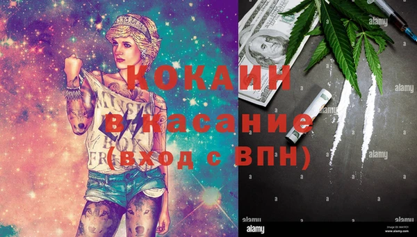 трава Елабуга